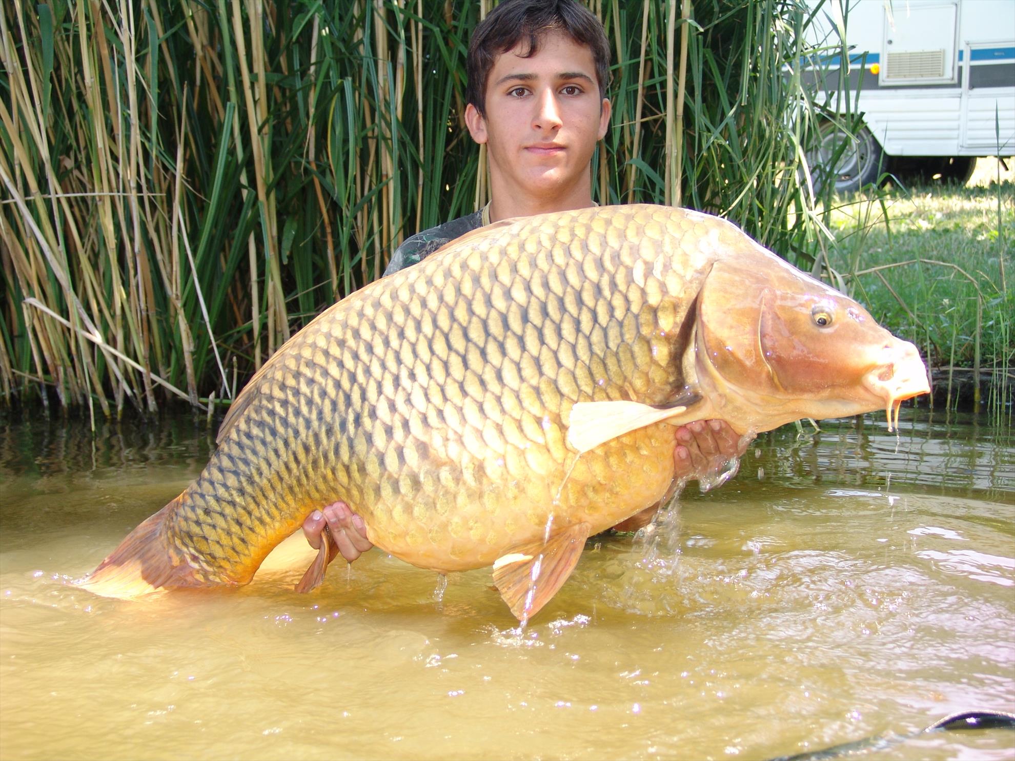 SENZOR OLDIES - dsc08209.JPG